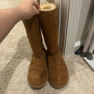 Chestnut Ugg Boots